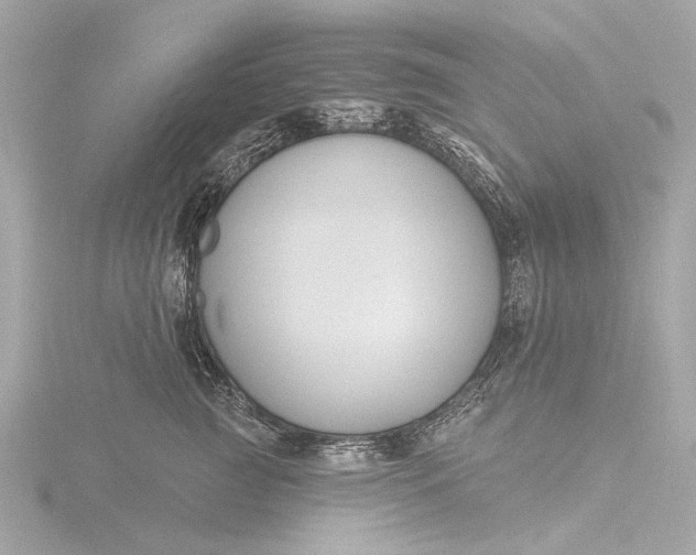 X0000116450761200912221544