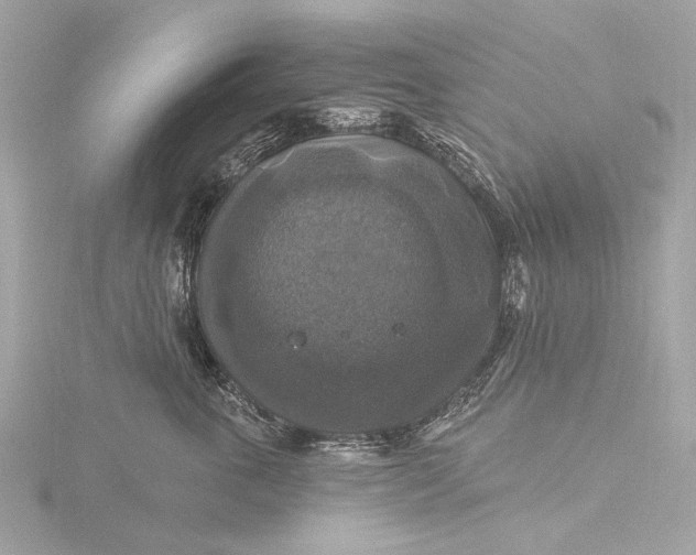 X0000116450763200912221544