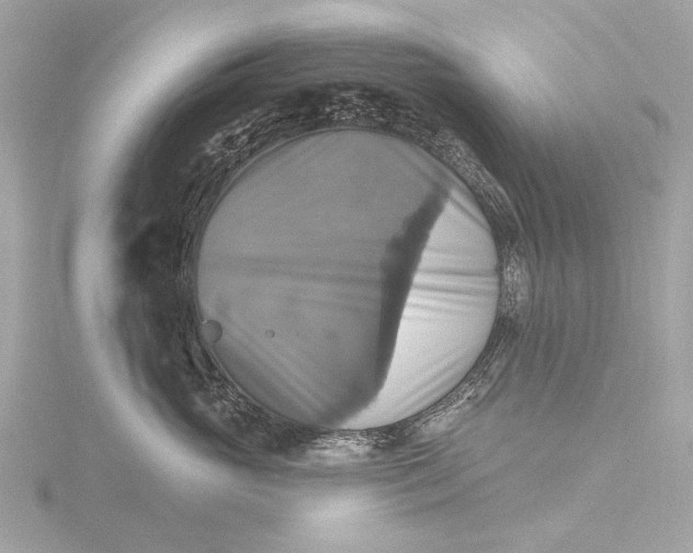 X0000116450765200912221544