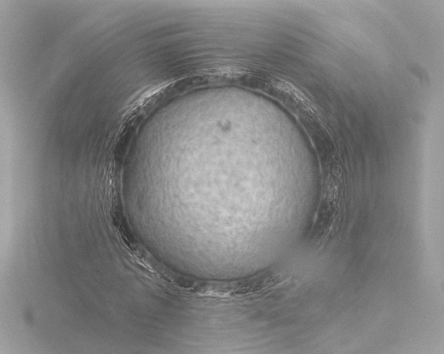 X0000116450773200912221543