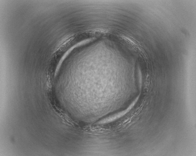 X0000116450774200912221543