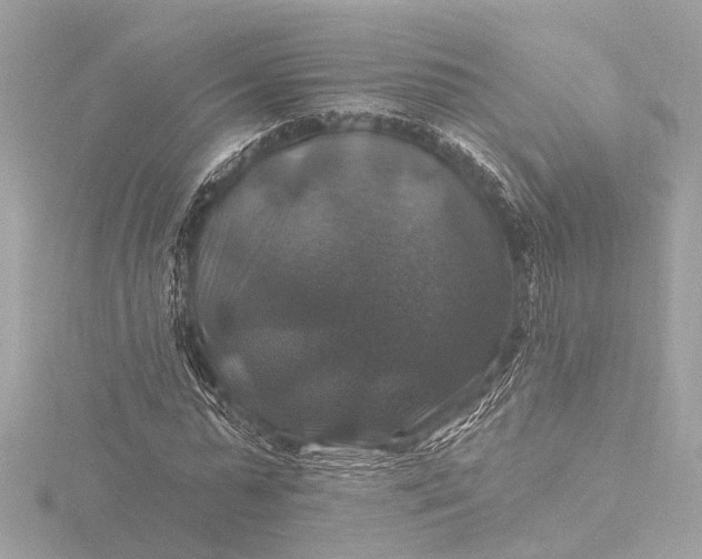 X0000116450775200912221543