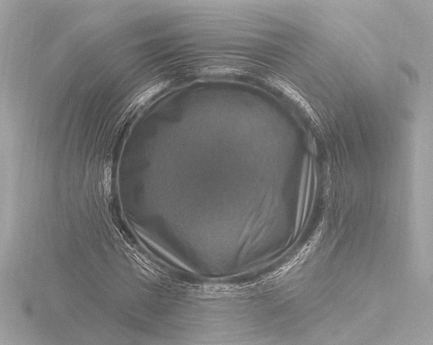X0000116450777200912221543