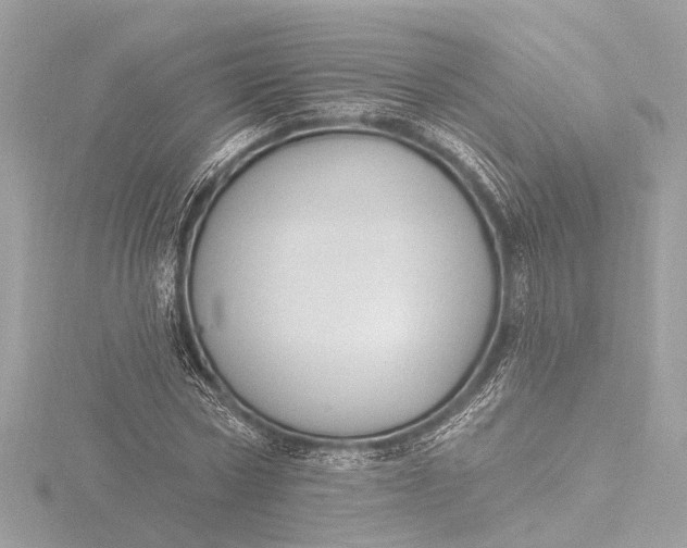X0000116450778200912221543