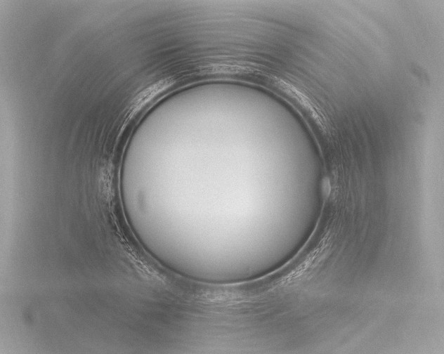 X0000116450786200912221543