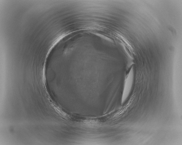X0000116450788200912221543