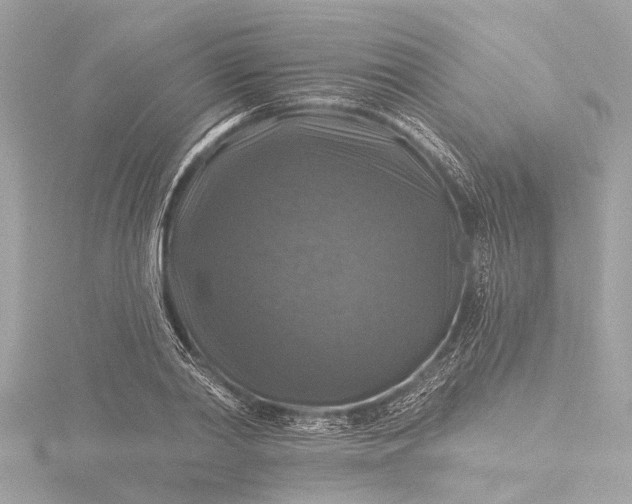 X0000116450790200912221543