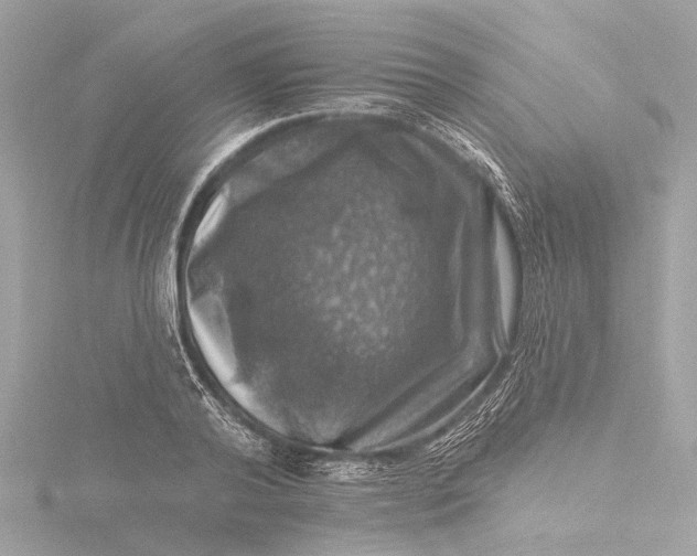 X0000116450792200912221543