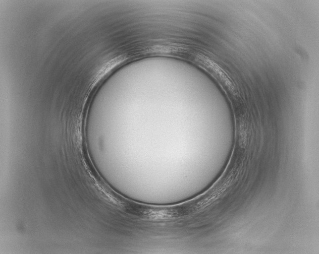 X0000116450794200912221543
