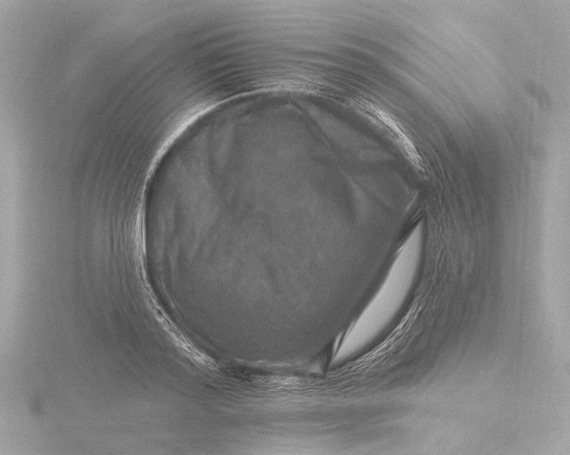 X0000116450796200912221543