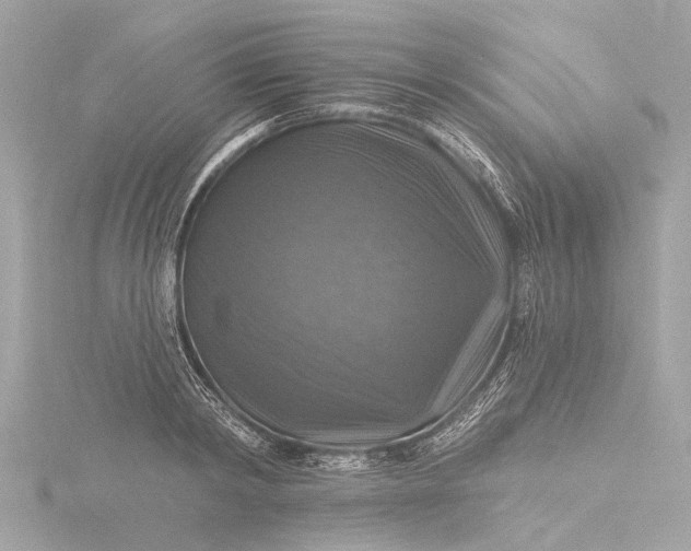 X0000116450798200912221543