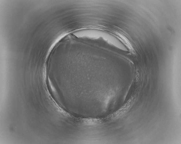 X0000116450804200912221543