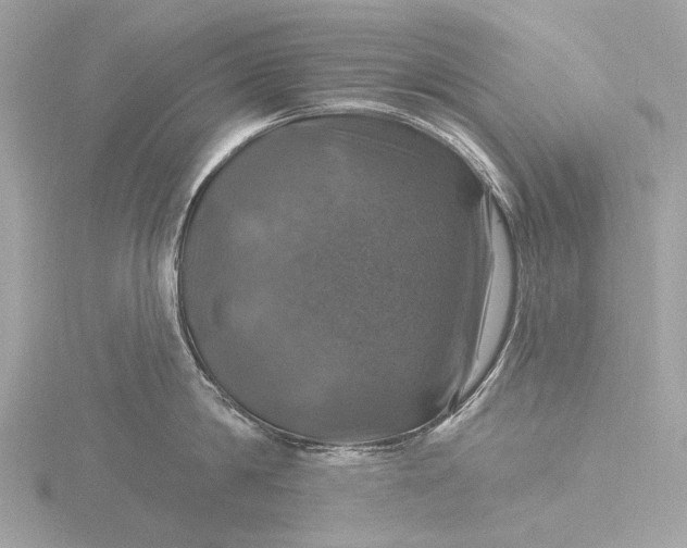 X0000116450814200912221543
