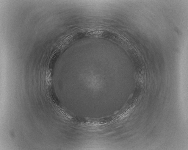 X0000116450818200912221542