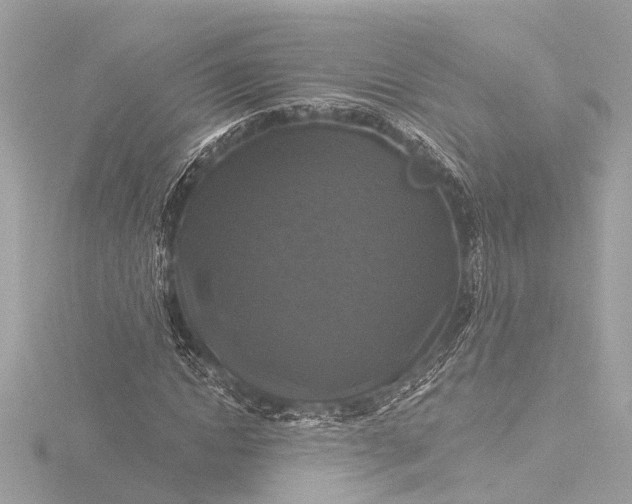 X0000116450822200912221542