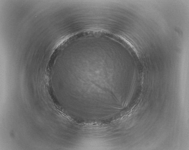 X0000116450823200912221542