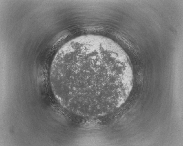 X0000116450824200912221542