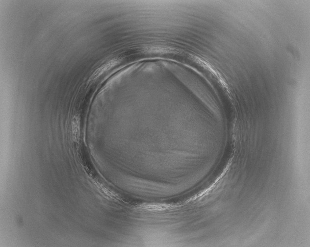 X0000116450825200912221542