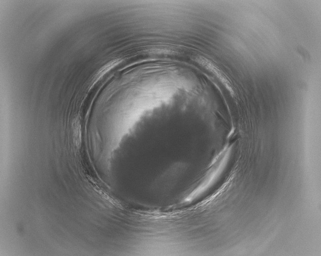 X0000116450829200912221542