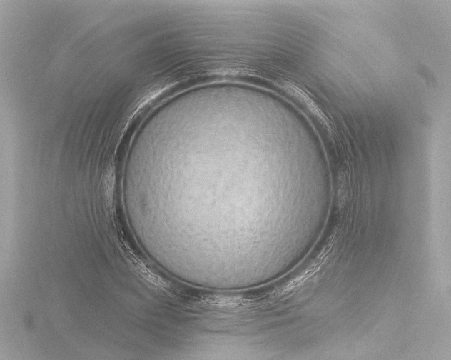 X0000116450831200912221542