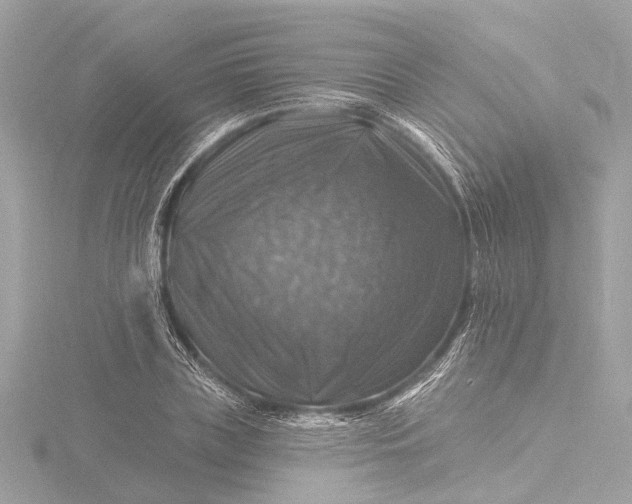 X0000116450835200912221542