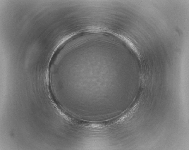 X0000116450839200912221542