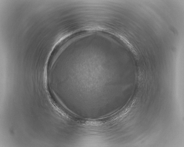 X0000116450840200912221542