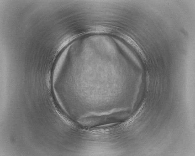 X0000116450842200912221542