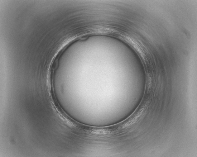 X0000116450843200912221542