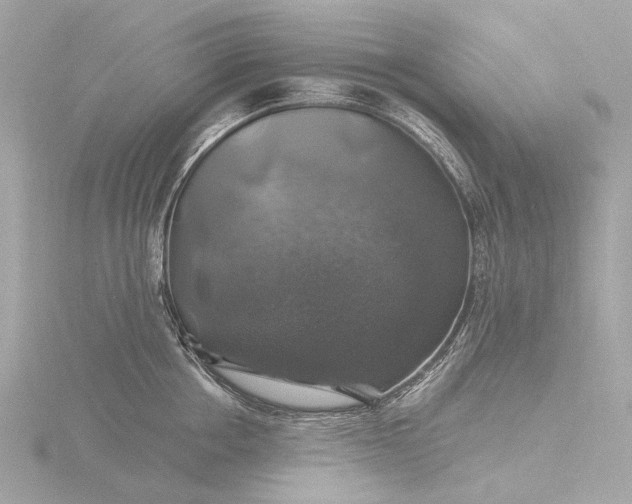 X0000116450858200912221543
