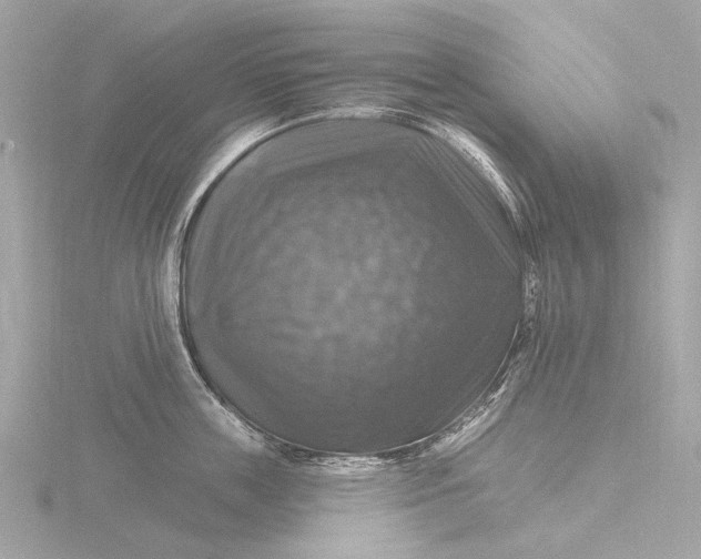 X0000116450859200912221543
