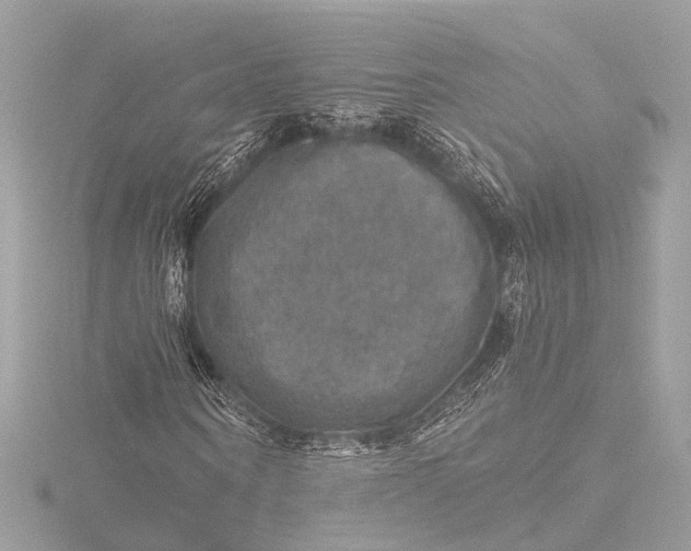 X0000116450866200912221542