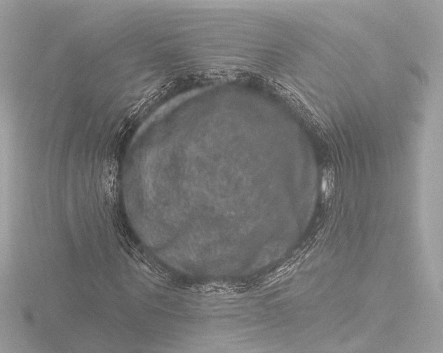 X0000116450867200912221542