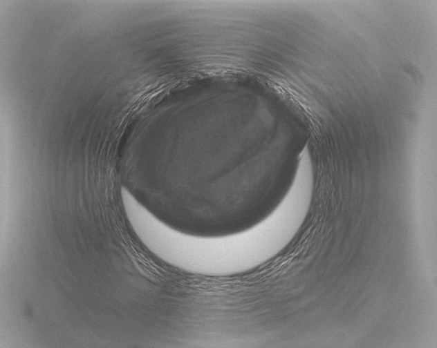 X0000116450868200912221542