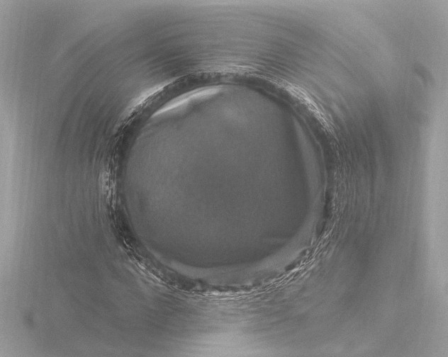 X0000116450872200912221542