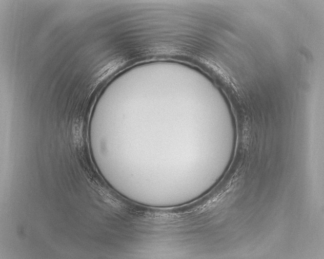 X0000116450873200912221542