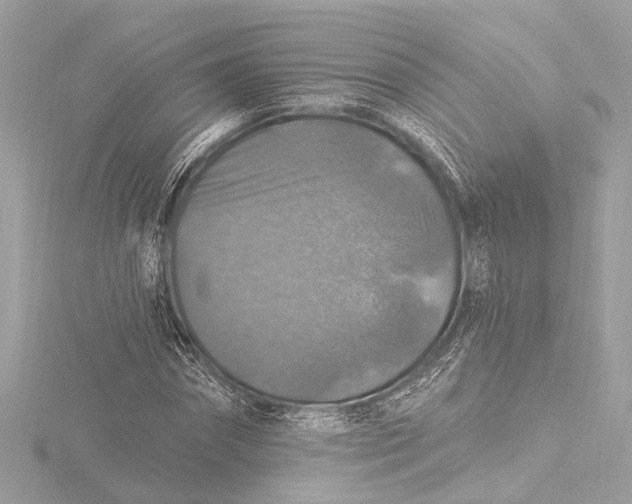 X0000116450874200912221542
