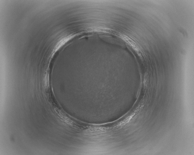 X0000116450877200912221542