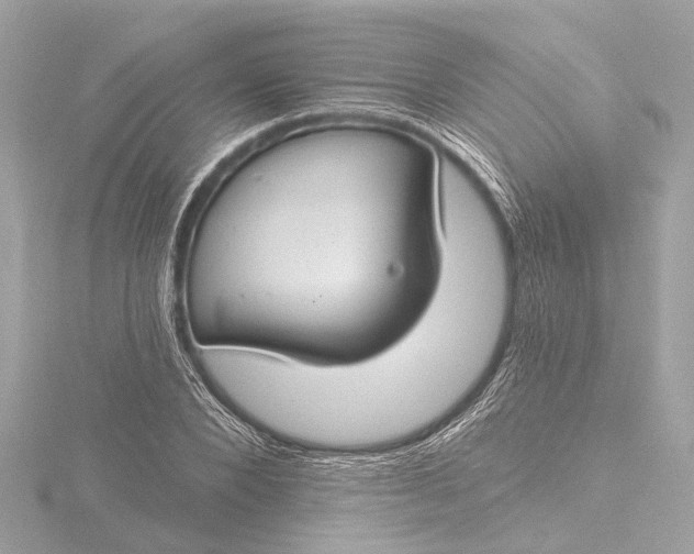 X0000116450880200912221542