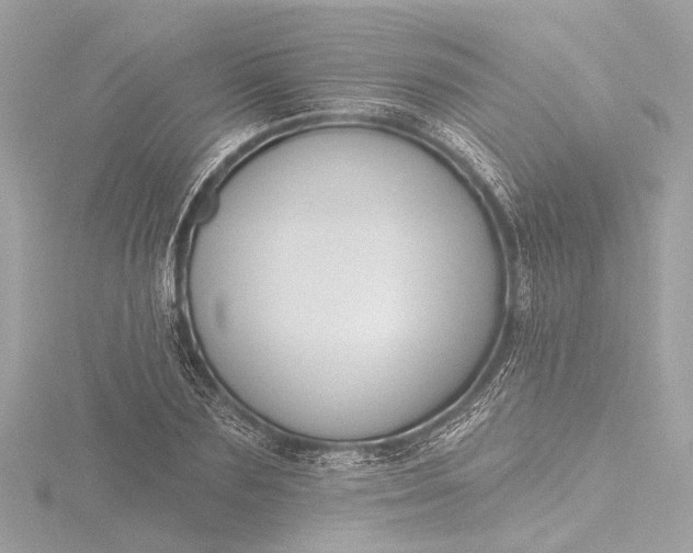 X0000116450883200912221542