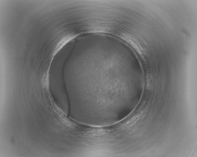 X0000116450885200912221542