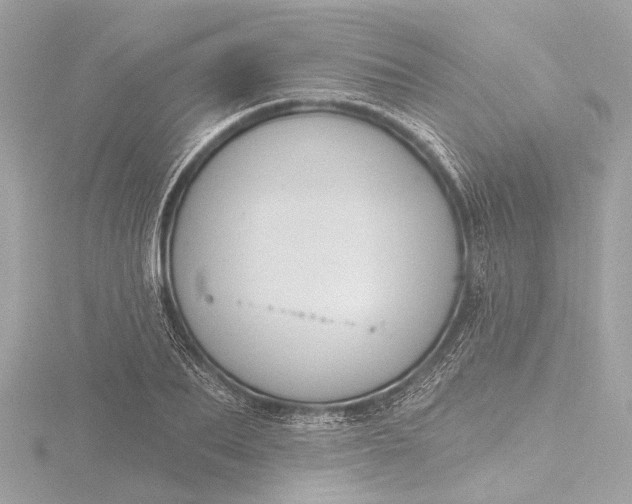 X0000116450887200912221542