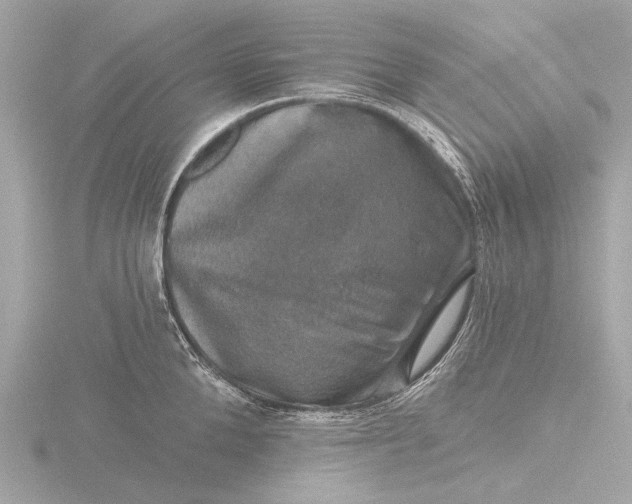 X0000116450904200912221542