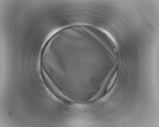 X0000116450910200912221542