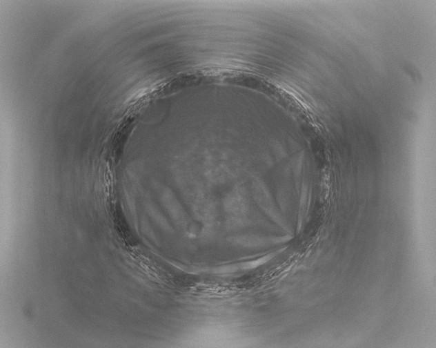X0000116450917200912221541