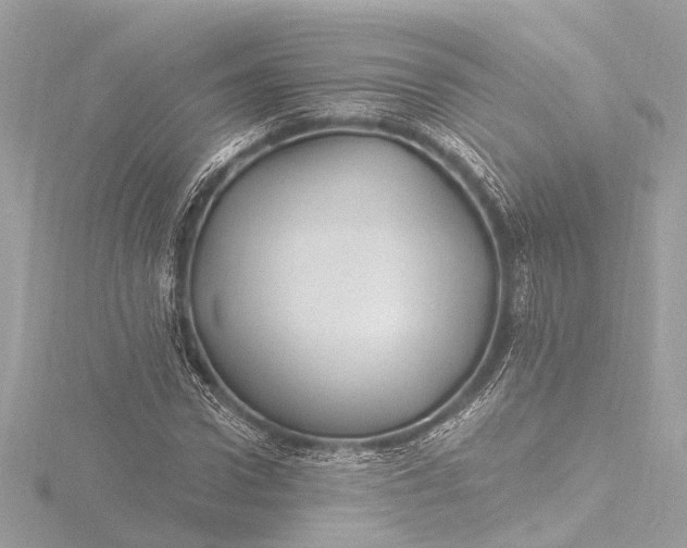 X0000116450922200912221541