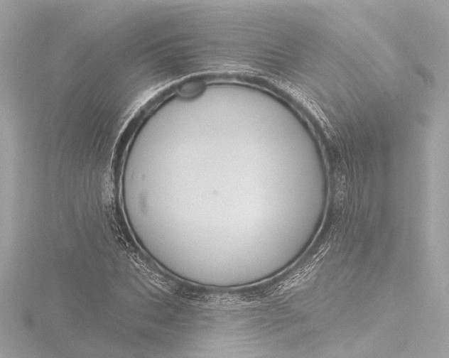 X0000116450927200912221541