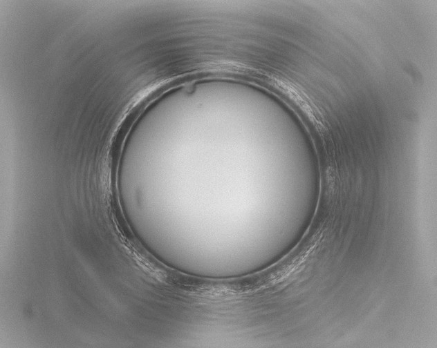 X0000116450931200912221541
