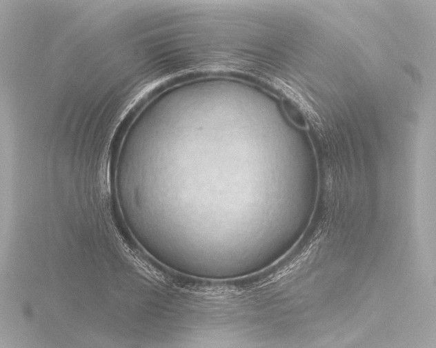 X0000116450934200912221541