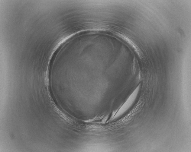 X0000116450935200912221541